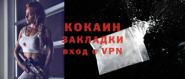 хмурый Аркадак