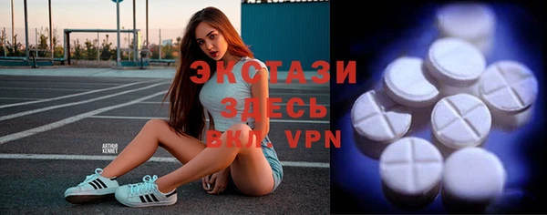 хмурый Аркадак