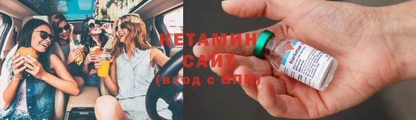 хмурый Аркадак