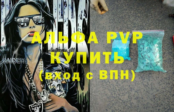 стафф Арсеньев