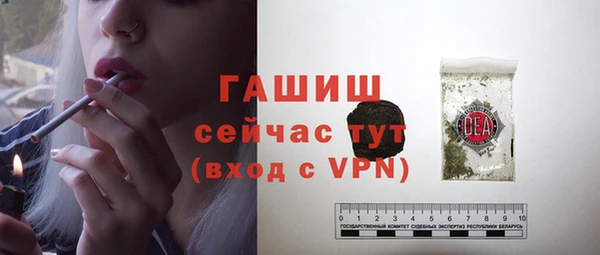 стафф Арсеньев