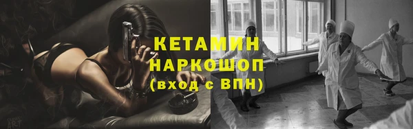 хмурый Аркадак