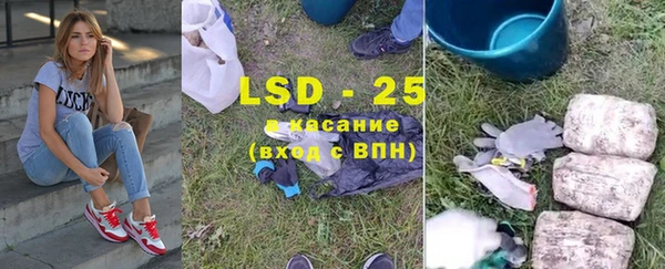 хмурый Аркадак