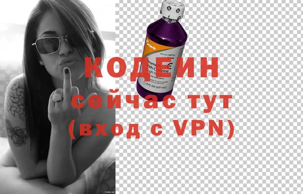 таблы Гусев