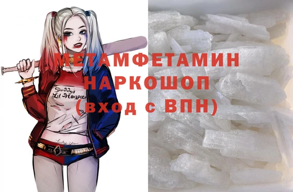 хмурый Аркадак
