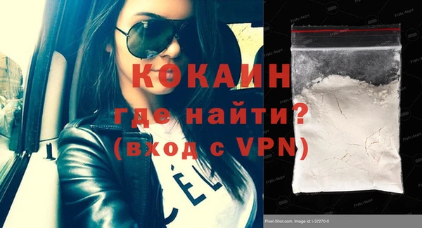 хмурый Аркадак