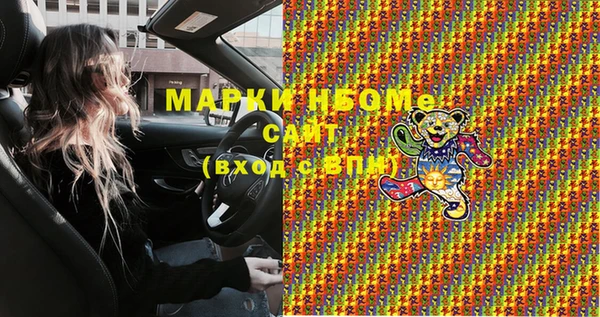хмурый Аркадак
