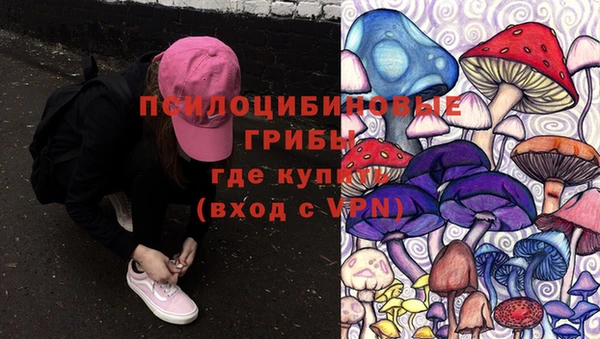 дурь Армянск