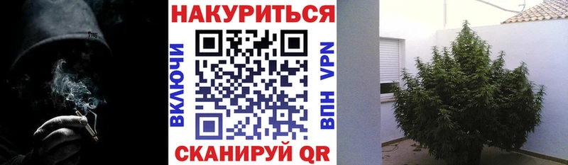 omg вход  Демидов  Канабис THC 21% 